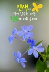 健康과 幸福 祈願 - ◈ 감동♡좋은글 - 골프를 사랑하는 모임 (골사모) 골프를 사랑하는 모임 (골사모)