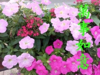 신년휘호 - 우리들의 이야기 - 하전서예tel8370628 하전서예tel8370628