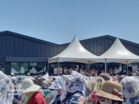 2024.5.13 파티마성모발현 107주년기념 전국행사, 이한택주교님미사강론 - 파티마의 날 이모저모 - 티없으신 마리아 성심 재속3회 2024.5.13... 