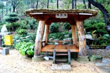 천태종 부산 삼광사 - ○ 삼광사 소식 - 대한불교천태종 부산 삼광사카페 (사진,동영상) 천태종 부산 삼광사