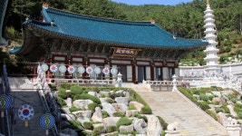 삼광사 2022.09.17 - ○ 삼광사 소식 - 대한불교천태종 부산 삼광사카페 (사진,동영상) 삼광사 2022.09.17