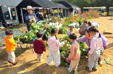입동절기-무뽑기 - 자작나무반 사진첩 - 감나무 어린이집 입동절기-무뽑기