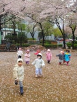 은하마을 꽃놀이 - 자작나무반 사진첩 - 감나무 어린이집 은하마을 꽃놀이