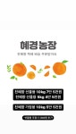 제주 남원에서 직접 재배한 천혜향 판매합니다! - 농수축산물 직거래방 - 제주 내집 마련을 위한 커뮤니티(부동산NO1.제주내집마련) 제주... 