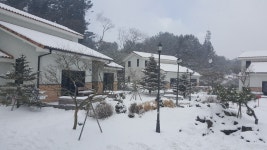 애월읍 유수암 마당넓은 단독주택 - [직거래]주택매매,임대,전세,월세 - 제주 내집 마련을 위한 커뮤니티(부동산NO1.제주내집마련) 애월읍 유수암... 