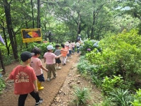 25.6.25.월아산 숲속의 진주 숲체험 - 2025 보라하늘소반 이야기 - 반야 유치원 25.6.25.월아산 숲속의 진주 숲체험