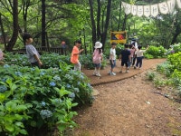 25.6.25.월아산 숲속의 진주 숲체험 - 2025 보라하늘소반 이야기 - 반야 유치원 25.6.25.월아산 숲속의 진주 숲체험