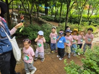월아산 숲속의 진주 숲체험을 다녀왔어요~ - 2025 노란메뚜기반 이야기 - 반야 유치원 월아산 숲속의 진주 숲체험을 다녀왔어요~