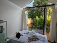 카이의 두 번째 제주여행 - ◈입양 후 이야기 - 동물과 함께 행복한 세상 카이의 두 번째 제주여행