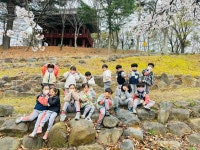 (🌼야외활동) 💕 벚꽃앞에서 찰칵📸 - 지혜반(7세) - 현풍아이세상어린이집 (🌼야외활동) 💕 벚꽃앞에서 찰칵📸