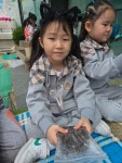 (원내활됭❤️)봉선화 심기🌱🌸 - 슬기반(7세) - 현풍아이세상어린이집 (원내활됭❤️)봉선화 심기🌱🌸
