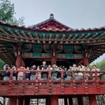 (야외활동❤️)🌸봄꽃놀이🌸 - 슬기반(7세) - 현풍아이세상어린이집 (야외활동❤️)🌸봄꽃놀이🌸