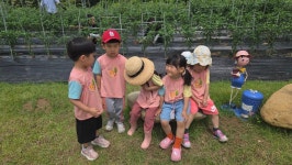 (체험활동) 고추수확하기🌶🌶 - 사랑반(5세) - 현풍아이세상어린이집 (체험활동) 고추수확하기🌶🌶