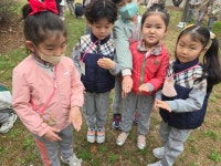 (야외활동❤️)🌸봄꽃놀이🌸 - 슬기반(7세) - 현풍아이세상어린이집 (야외활동❤️)🌸봄꽃놀이🌸