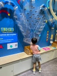 (견학활동)과학관 - 행복반(5세) - 현풍아이세상어린이집 (견학활동)과학관