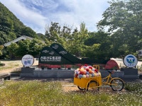 전북 선운산 도립공원 - ◈ ―자연풍경사진♬ - 은하 궁전(地O2) 은하 궁전(地O2)