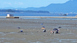 남해 설천,미조에서 - 영상/사진자료 - 황준표 컴퓨터학당 황준표 컴퓨터학당