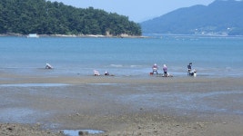 모천 문항마을에서 - 영상/사진자료 - 황준표 컴퓨터학당 황준표 컴퓨터학당