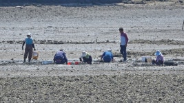 모천 문항마을에서 - 영상/사진자료 - 황준표 컴퓨터학당 황준표 컴퓨터학당