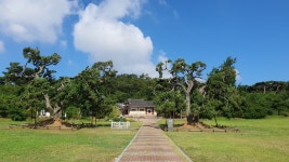 9/12(화)-13(수) 한국의 사막 신두리사구와 서해미술관 예술기행... 9/12(화)-13(수) 한국의 사막 신두리사구와 서해미술관 예술기행(서산태안)
