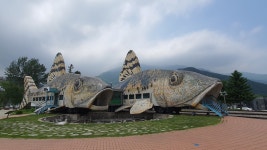 5/27(화) 숲캉스 정선레일바이크와 정선오일장, 용수골꽃양귀비마을(정선, 원주) - 천하장군_평일 - 지인여행 5/27(화) 숲캉스 정선레일바이크와... 