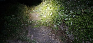 기양지맥 2구간 상리고개-백운산-산태백재-기양산-수정리고-석거실마을 - ☞ 최근산(여)행기는 여기에.. - 홀대모 기양지맥 2구간 상리고개-백운산... 