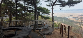 망일지맥 1구간 쥐뿌리재-분기점-연화산-부성산-망일산-틀목고개 - 망일지맥(금북) - 홀대모 망일지맥 1구간 쥐뿌리재-분기점-연화산-부성산... 