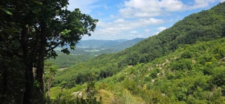 기양지맥 2구간 상리고개-백운산-산태백재-기양산-수정리고-석거실마을 - ☞ 최근산(여)행기는 여기에.. - 홀대모 기양지맥 2구간 상리고개-백운산... 