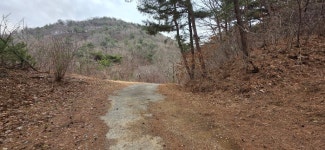 망일지맥 1구간 쥐뿌리재-분기점-연화산-부성산-망일산-틀목고개 - 망일지맥(금북) - 홀대모 망일지맥 1구간 쥐뿌리재-분기점-연화산-부성산... 