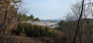 망일지맥 1구간 쥐뿌리재-분기점-연화산-부성산-망일산-틀목고개 - 망일지맥(금북) - 홀대모 망일지맥 1구간 쥐뿌리재-분기점-연화산-부성산... 