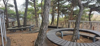 망일지맥 1구간 쥐뿌리재-분기점-연화산-부성산-망일산-틀목고개 - 망일지맥(금북) - 홀대모 망일지맥 1구간 쥐뿌리재-분기점-연화산-부성산... 