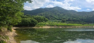 기양지맥 2구간 상리고개-백운산-산태백재-기양산-수정리고-석거실마을 - ☞ 최근산(여)행기는 여기에.. - 홀대모 기양지맥 2구간 상리고개-백운산... 