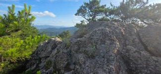 기양지맥 2구간 상리고개-백운산-산태백재-기양산-수정리고-석거실마을 - ☞ 최근산(여)행기는 여기에.. - 홀대모 기양지맥 2구간 상리고개-백운산... 