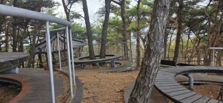 망일지맥 1구간 쥐뿌리재-분기점-연화산-부성산-망일산-틀목고개 - 망일지맥(금북) - 홀대모 망일지맥 1구간 쥐뿌리재-분기점-연화산-부성산... 