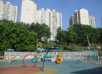 5월 8일 임도5거리(군포수릿길 1~14코스-2) - 산신령 산행사진... 산신령(mountain photos) 5월 8일 임도5거리(군포수릿길 1~14코스-2)