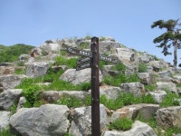 5월 8일 임도5거리(군포수릿길 1~14코스-2) - 산신령 산행사진... 산신령(mountain photos) 5월 8일 임도5거리(군포수릿길 1~14코스-2)