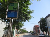 6월12일 내리-안성천(평택섶길 2~2-1코스=3) - 산신령 산행사진 (2013년~) - 산신령(mountain photos) 6월12일 내리-안성천(평택섶길 2~2... 