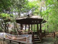 5월 8일 임도5거리(군포수릿길 1~14코스-2) - 산신령 산행사진... 산신령(mountain photos) 5월 8일 임도5거리(군포수릿길 1~14코스-2)