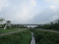 8월 7일 점촌천-진위천(평택섶길 8~11코스=11) - 산신령... 산신령(mountain photos) 8월 7일 점촌천-진위천(평택섶길 8~11코스=11)