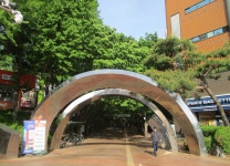 5월 8일 임도5거리(군포수릿길 1~14코스-2) - 산신령 산행사진... 산신령(mountain photos) 5월 8일 임도5거리(군포수릿길 1~14코스-2)