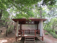 5월 8일 임도5거리(군포수릿길 1~14코스-2) - 산신령 산행사진... 산신령(mountain photos) 5월 8일 임도5거리(군포수릿길 1~14코스-2)