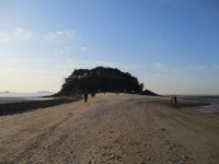 4월25일 큰산-북망산(대부해솔길 3~2코스=안산시) - 산신령 산행사진 (2013년~) - 산신령(mountain photos) 4월25일 큰산-북망산... 