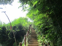 6월23일 평택항-신당공원(평택섶길-4코스=5) - 산신령 산행사진 (2013년~) - 산신령(mountain photos) 6월23일 평택항-신당공원(평택섶길... 