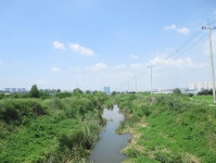 7월28일 진위천-매봉산(평택섶길-7코스=9) - 산신령 산행사진 (2013년~) - 산신령(mountain photos) 7월28일 진위천-매봉산(평택섶길... 