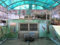 2월 3일 (남산-북산=강화읍) - 산신령 산행사진 (2017년 4월~) - 김포 산신령 2월 3일 (남산-북산=강화읍)