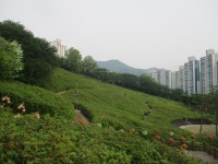 5월18일 너구리산(군포수릿길 3코스-4) - 산신령 산행사진 (2013년~) - 산신령(mountain photos) 5월18일 너구리산(군포수릿길 3코스-4)