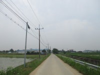6월 2일 덕동산-소사벌(평택섶길 1-1~1코스=1) - 산신령... (2013년~) - 산신령(mountain photos) 6월 2일 덕동산-소사벌(평택섶길 1-1~1코스=1)