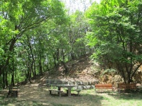 5월 8일 임도5거리(군포수릿길 1~14코스-2) - 산신령 산행사진... 산신령(mountain photos) 5월 8일 임도5거리(군포수릿길 1~14코스-2)