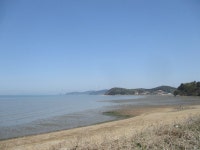 4월25일 큰산-북망산(대부해솔길 3~2코스=안산시) - 산신령 산행사진 (2013년~) - 산신령(mountain photos) 4월25일 큰산-북망산... 
