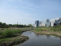4월30일 창릉천(고양누리길-14코스) - 산신령 산행사진 (2013년~) - 산신령(mountain photos) 4월30일 창릉천(고양누리길-14코스)